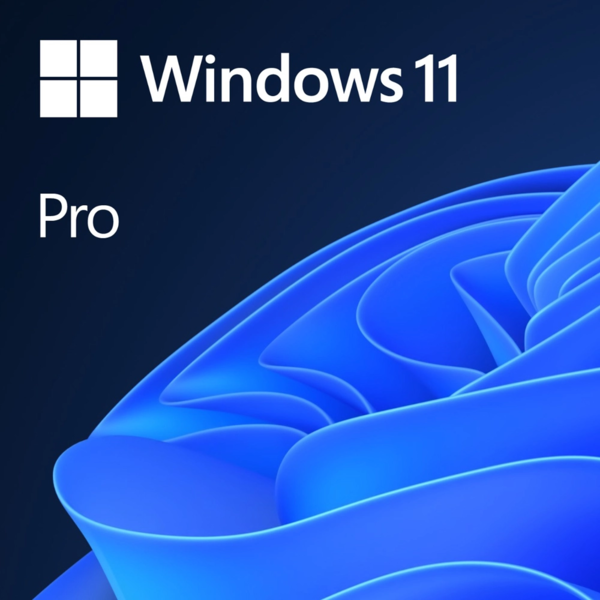 Software: Microsoft Windows 11 Pro